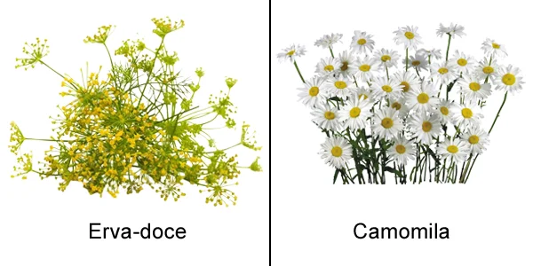 Super Soap - CLEAN CONCENTRADO 500ML