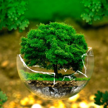 Projetos de Extens�o da USC produzem v�deo de sustentabilidade