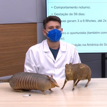 Projeto �Zoobot�nico On Demand� cria videoaulas para aux�lio pedag�gico nas escolas