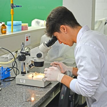 Da Parasitologia � Bioinform�tica: Jornada de Ci�ncias Biol�gicas contou com tem�ticas para atualiza��o profissional
