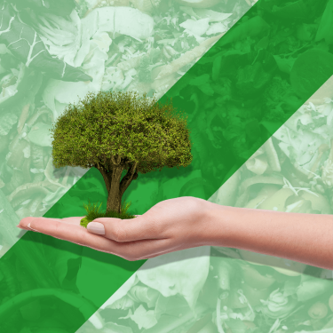 Oficina gratuita de Compostagem e Sustentabilidade ser� no dia 19 de novembro