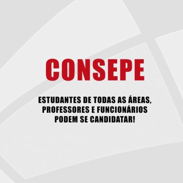 Elei��o para representante no Conselho Superior de Ensino, Pesquisa e Extens�o