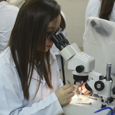 Sucesso na Jornada de Ci�ncias Biol�gicas da USC