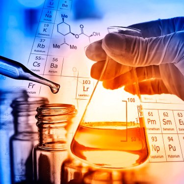 Jornada de Ci�ncias Biol�gicas da USC