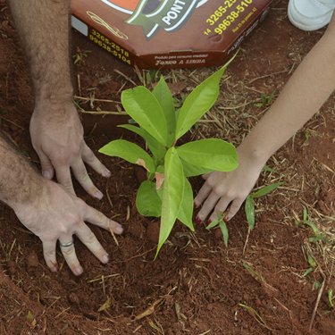 Autismo foi o tema da 6� edi��o do Plantando Sorrisos