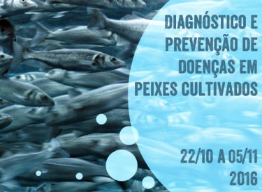 Inscri��es abertas para o curso de extens�o Diagn�stico e preven��o de doen�as em peixes cultivados