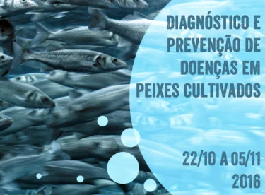 Inscries abertas para o curso de extenso Diagnstico e preveno de doenas em peixes cultivados