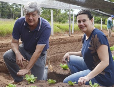 Projeto desenvolvido no Mestrado da USC defende uso de fertiliza��o org�nica