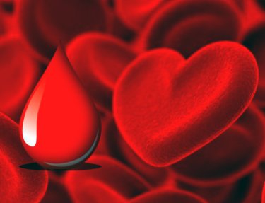 USC realiza campanha de doa��o de sangue e medula �ssea na pr�xima semana