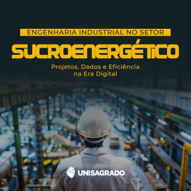 Engenharia Industrial no Setor Sucroenerg�tico: Projetos, Dados e Efici�ncia na Era Digital