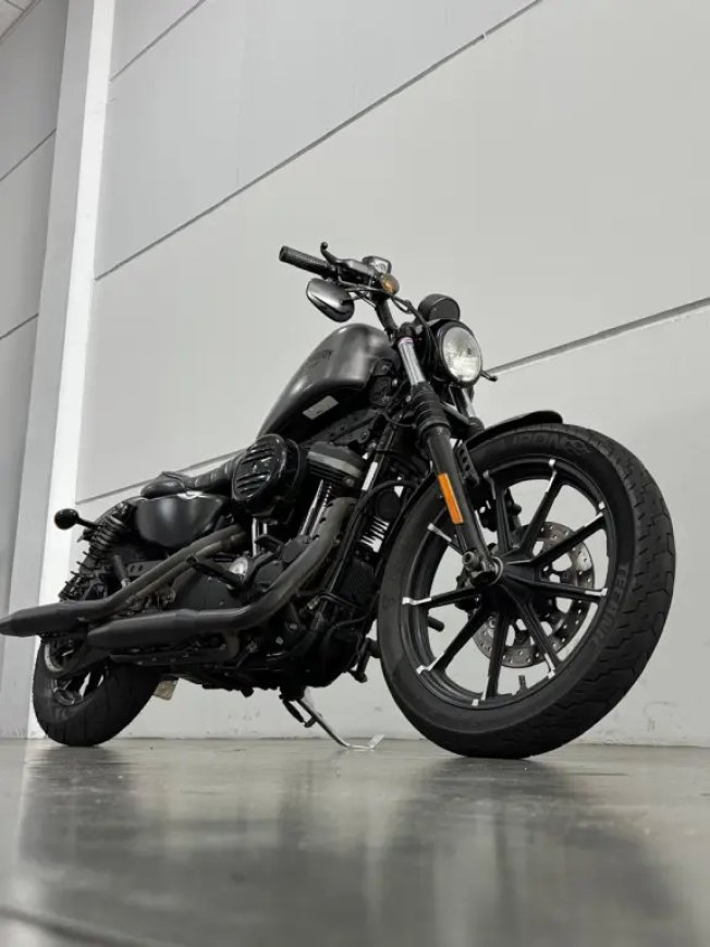 HARLEY DAVIDSON Sportster XL 883 IRON