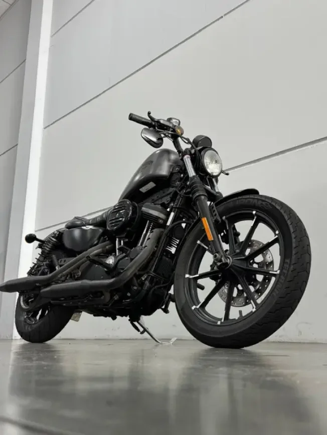 HARLEY DAVIDSON Sportster XL 883 IRON