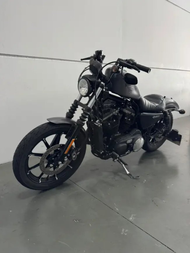 HARLEY DAVIDSON Sportster XL 883 IRON