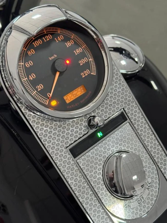 HARLEY DAVIDSON Softail DeLuxe 1600