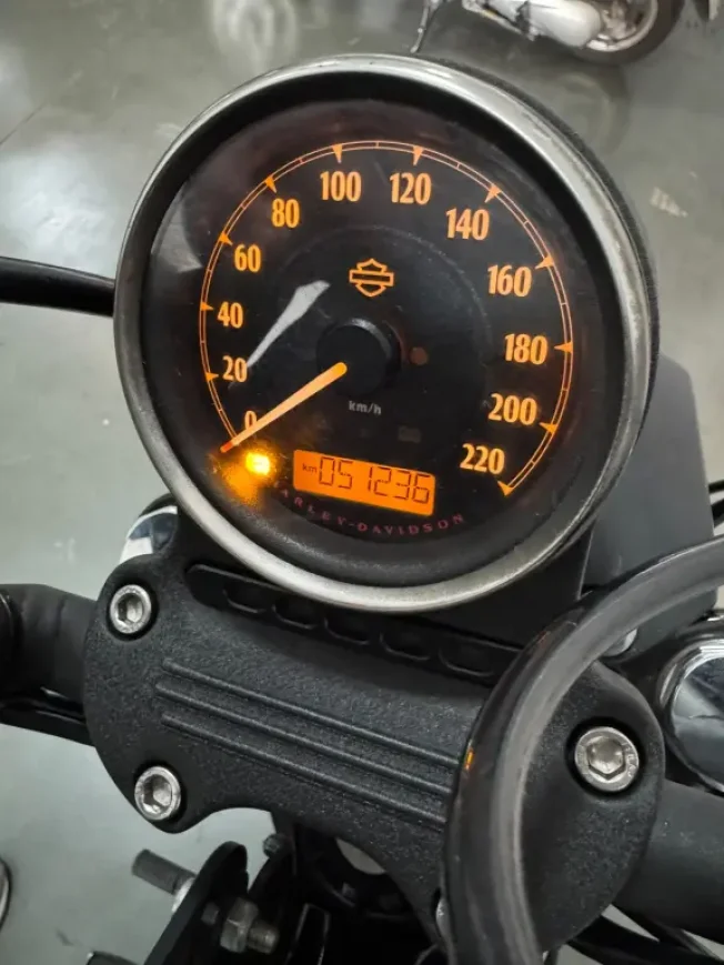HARLEY DAVIDSON Sportster XL 883 IRON