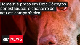 Homem � preso em Dois C�rregos por esfaquear o cachorro de seu ex-companheiro