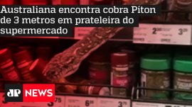 Australiana encontra cobra P�ton de 3 metros em prateleira do supermercado