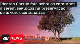 Ricardo Carrijo fala sobre os caminhos a serem seguidos na preserva��o de �rvores centen�rias