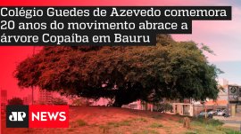 Col�gio Guedes de Azevedo comemora 20 anos do movimento abrace a �rvore Copa�ba em Bauru