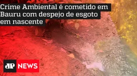 Crime Ambiental  cometido em Bauru com despejo de esgoto em nascente
