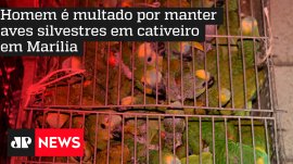 Homem � multado por manter aves silvestres em cativeiro em Mar�lia