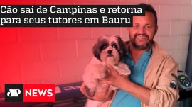 C�o sai de Campinas e retorna para seus tutores em Bauru