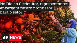 No Dia do Citricultor, representantes enxergam futuro promissor para o setor