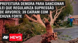 Prefeitura demora para sancionar lei que regulariza supress�o de �rvores; 39 ca�ram com chuva forte