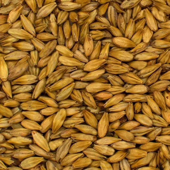 Chteau Cara Blond (Belga)