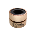 Anel Delco Remy - 8251
