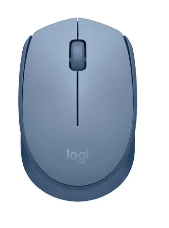 Mouse Logitech M170 Sem Fio, Azul - 910-006863