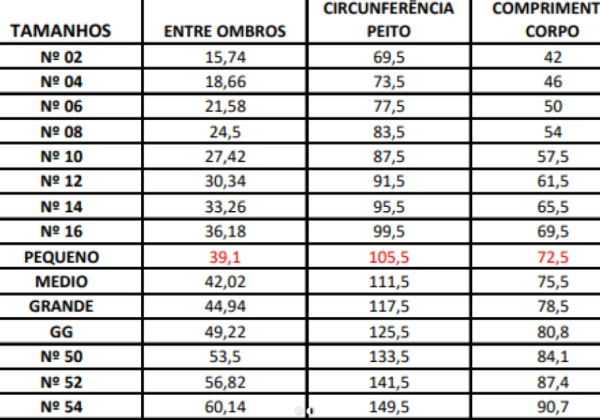 REGATA MASCULINA ALG