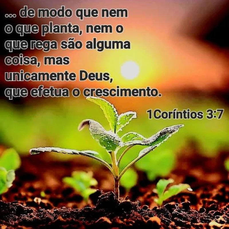 1 Coríntios 3:7