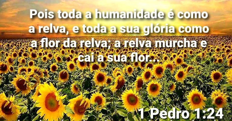 1 Pedro 1:24