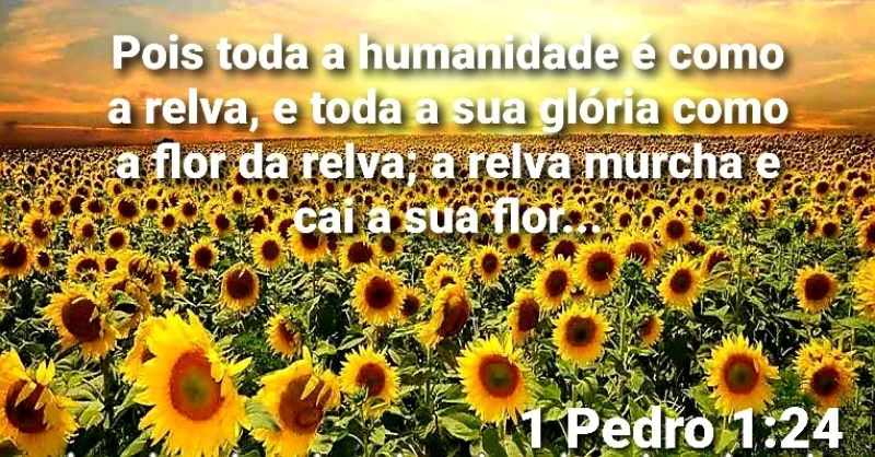 1 Pedro 1:24