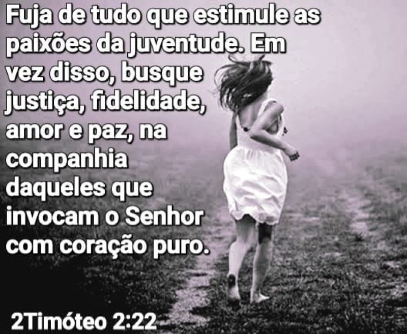 2 Tim�teo 2:22