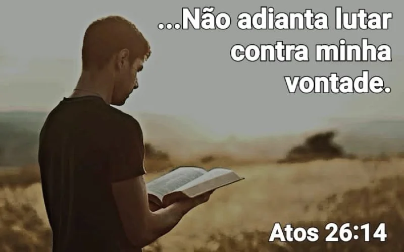 Atos 26:14