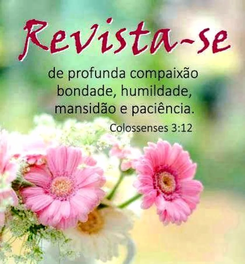 Colossenses 3:12
