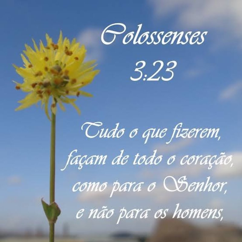 Colossenses 3:23