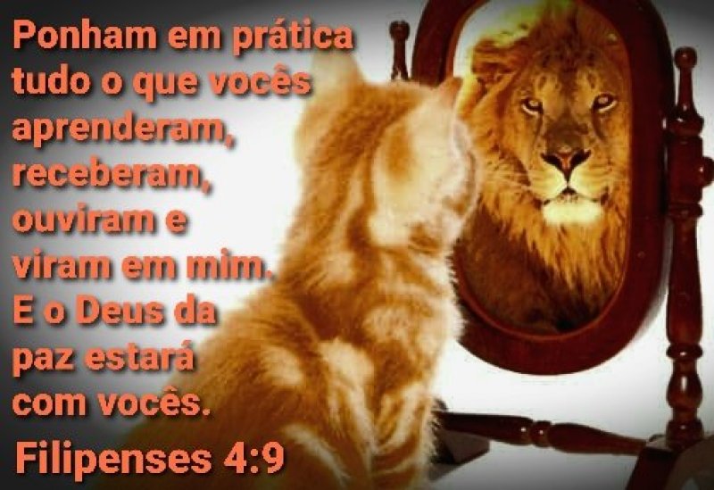 Filipenses 4:9