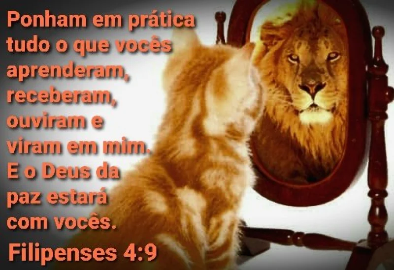 Filipenses 4:9