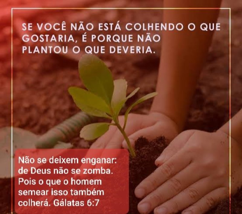 G�latas 6:7