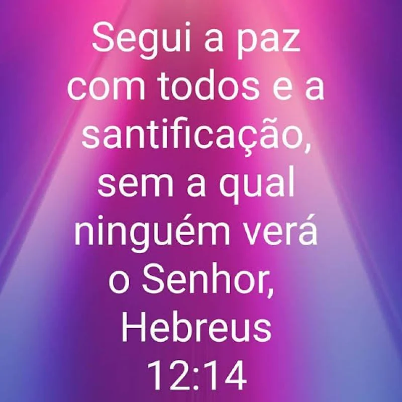 Hebreus 12:14