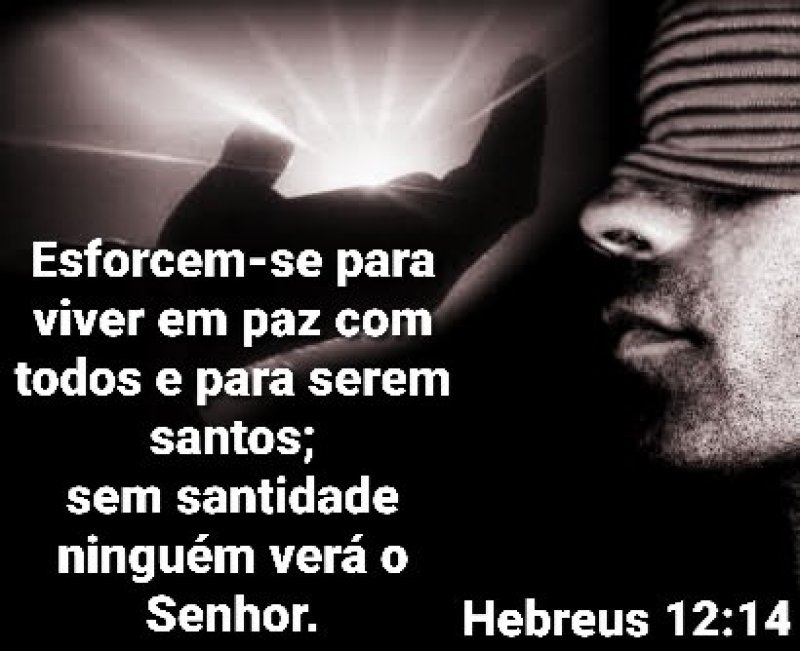 Hebreus 12:14
