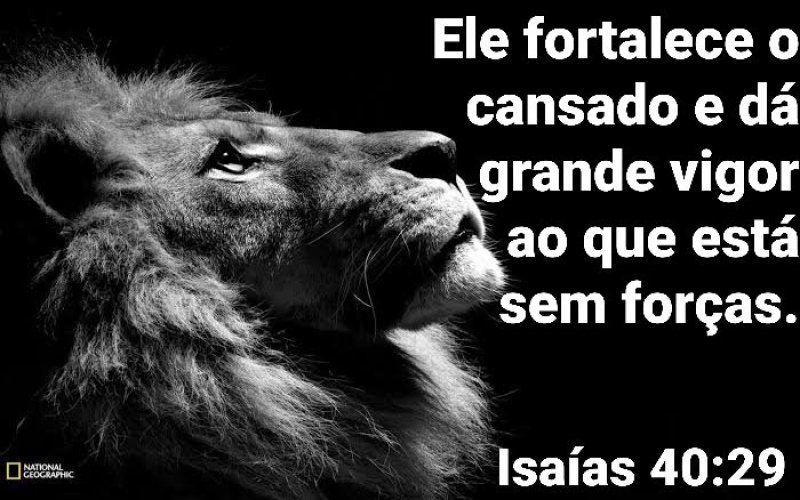 Isa�as 40:29