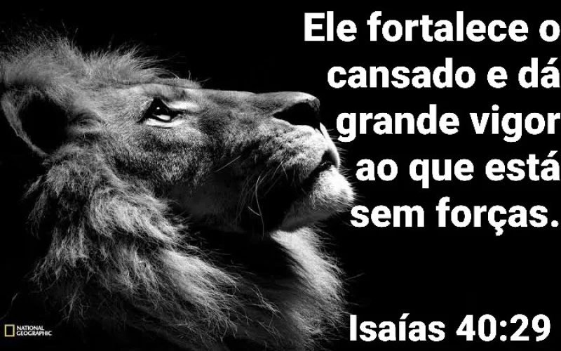 Isaías 40:29