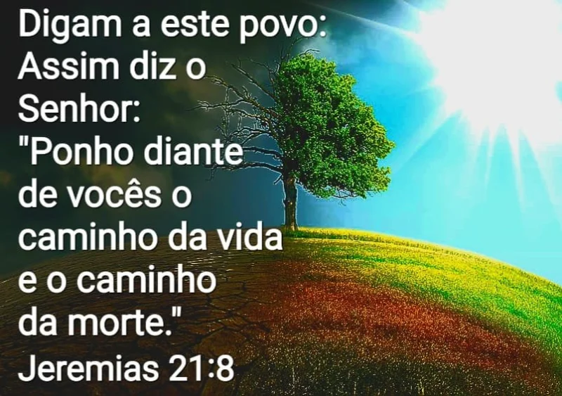 Jeremias 21:8