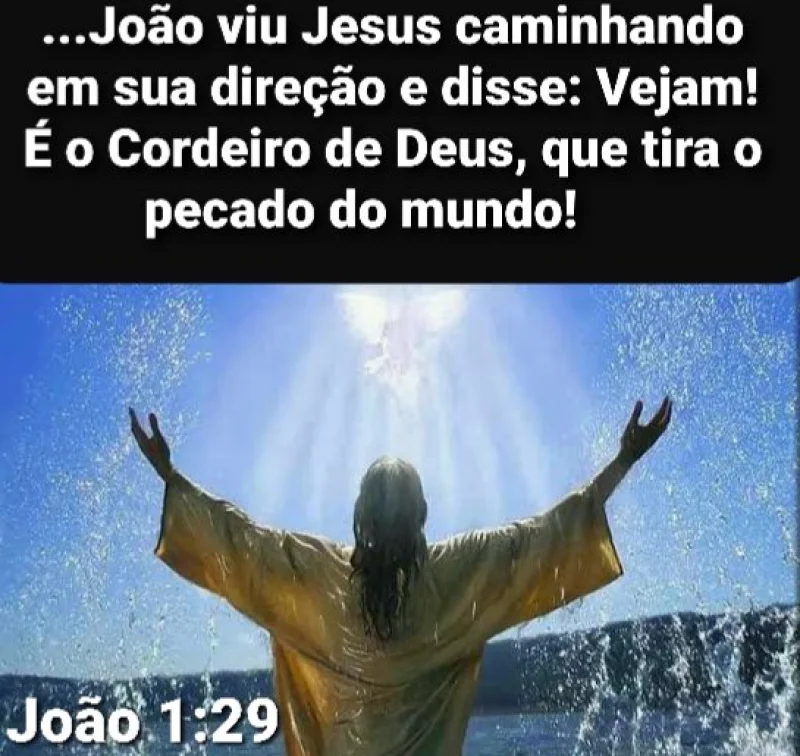 João 1:29
