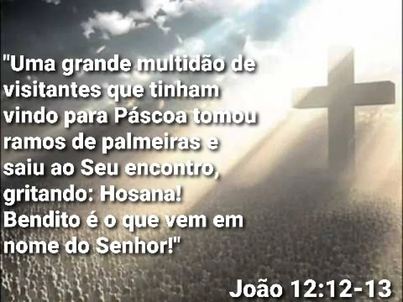 João 12:12-13