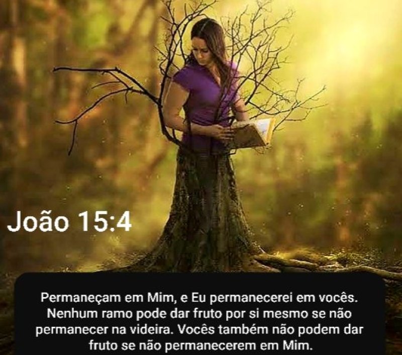 Jo�o 15:4